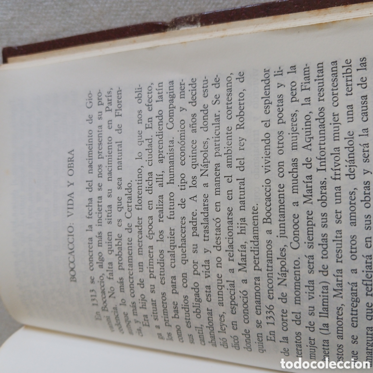 Libros de segunda mano: El Decameron de Giovani Boccaccio - Foto 8