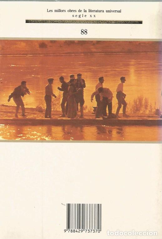 Libros de segunda mano: NOIS DE LA VIDA - PIER PAOLO PASOLINI MOLU 88 - Foto 2