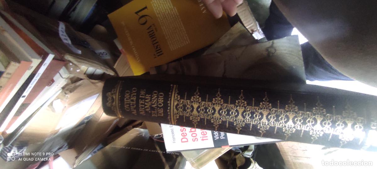 Libros de segunda mano: EL ARTE DE AMAR , OVIDIO - EL ASNO DE ORO , APULEYO - ED. CIRCULO - TAPA DURA