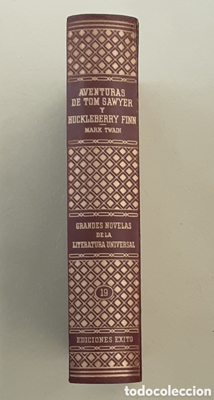 Libros de segunda mano: Aventuras de Tom Sawyer y Huckleberry Finn. Mark Twain. Editorial &Eacute;xito