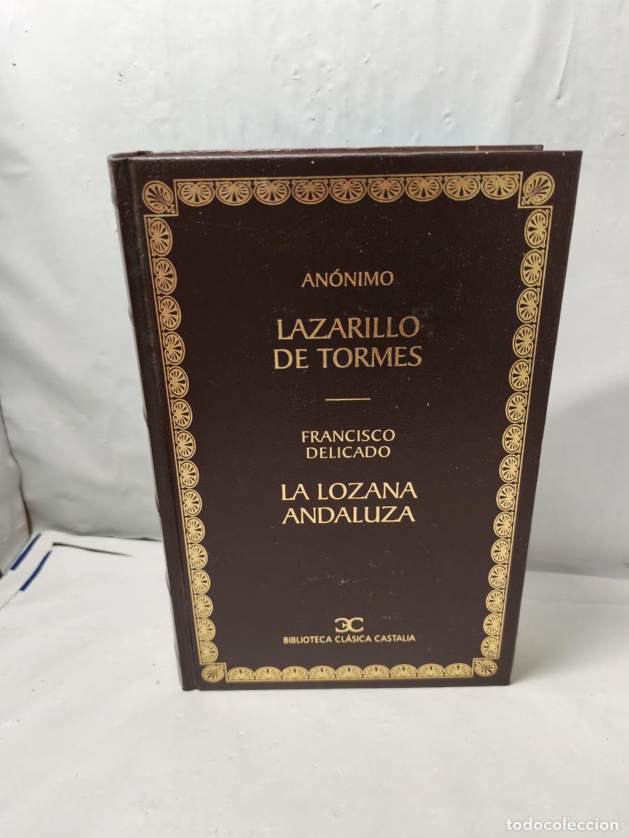 Libros de segunda mano: LAZARILLO DE TORMES / LA LOZANA ANDALUZA (Primera edici&oacute;n Biblioteca Cl&aacute;sica Castalia, Tapa Dura)