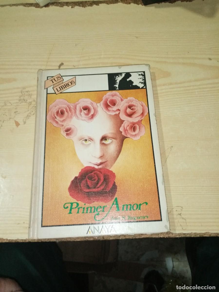 Libros de segunda mano: TUS LIBROS ANAYA. PRIMER AMOR. 3 EDICION. EST18B2