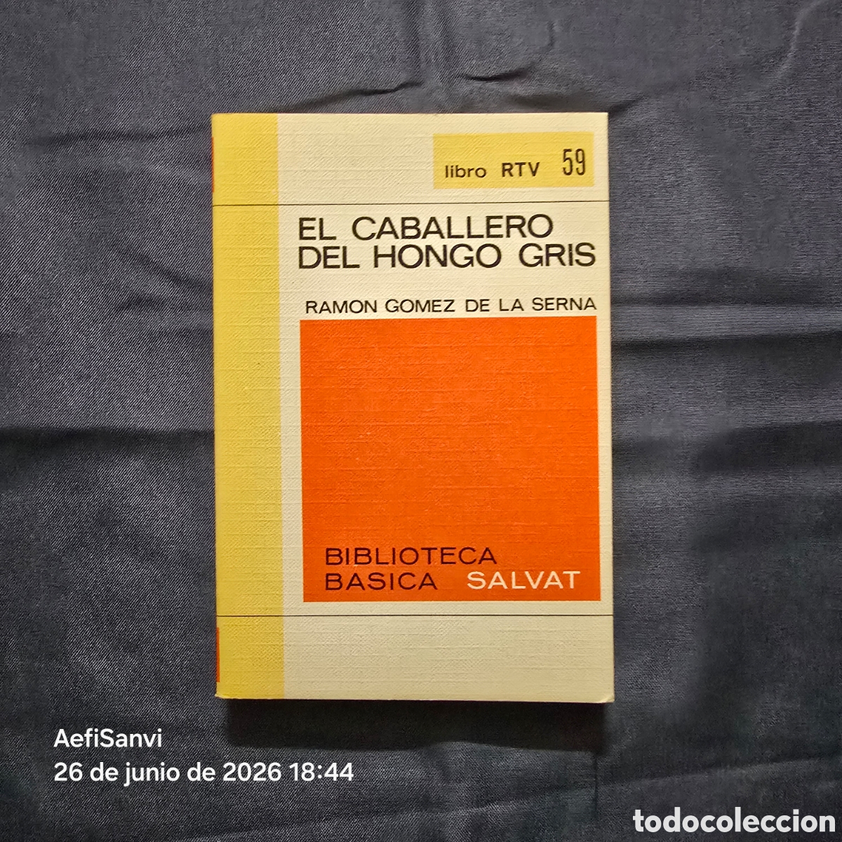 Libros de segunda mano: RTV 59: EL CABALLERO DEL HONGO GRIS (RAM&Oacute;N L&Oacute;PEZ DE LA SERNA) (SALVAT)