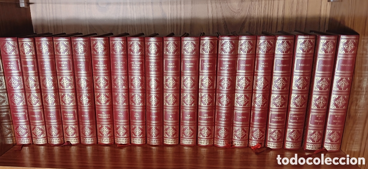 Libros de segunda mano: COLECCI&Oacute;N CL&Aacute;SICOS MUNDIALES (1973) - EDITIONS FERNI / AMIGOS DE LA HISTORIA