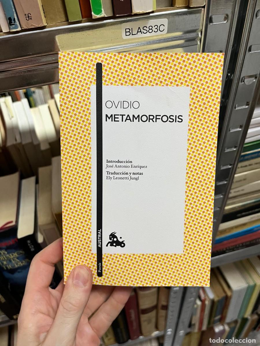 Libros de segunda mano: BLAS83C Ovidio Metamorfosis Austral