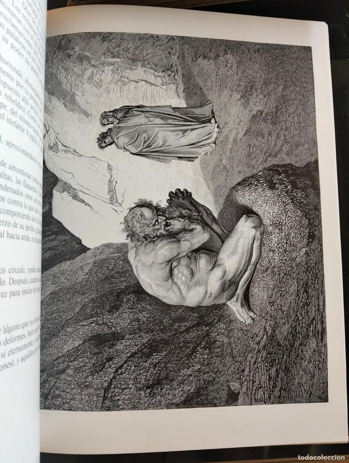 Libros de segunda mano: Ilustraci&oacute;n. Literatura. La Divina Comedia, Gustavo Dore, Gran Formato, tapa dura. L55