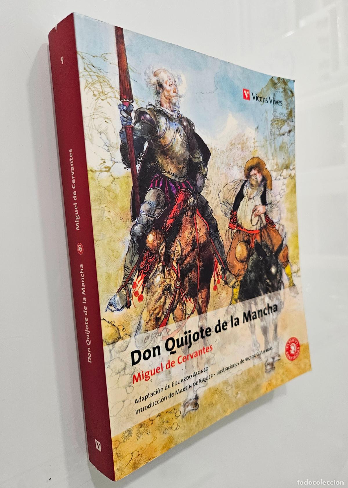 Libros de segunda mano: Don Quijote de la Mancha, ESO. Material auxiliar | Cervantes | Editorial Vicens Vives, 2010