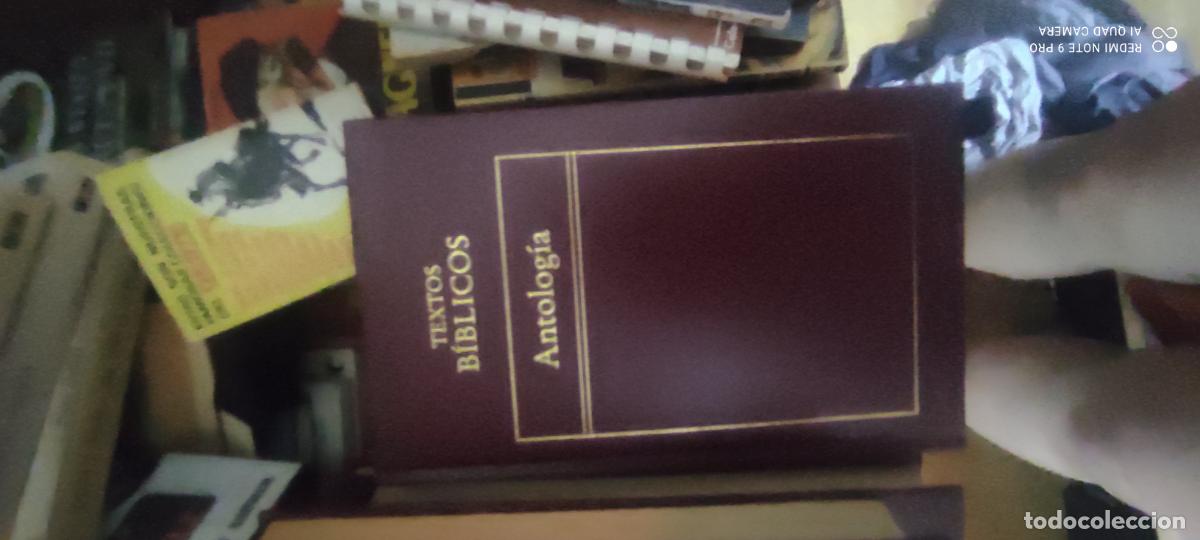 Libros de segunda mano: Textos B&iacute;blicos. Antolog&iacute;a. Orbis Literatura Universal