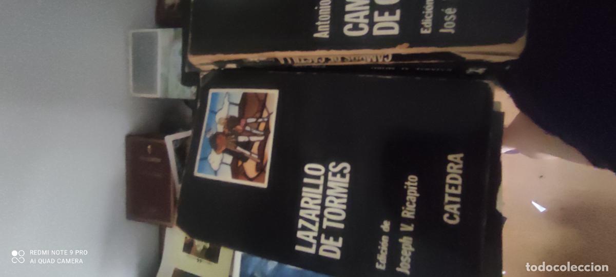Libros de segunda mano: Lazarillo de Tormes. C&aacute;tedra