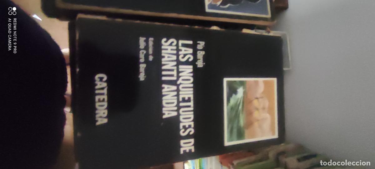 Libros de segunda mano: Las inquietudes de shanti andia. C&aacute;tedra