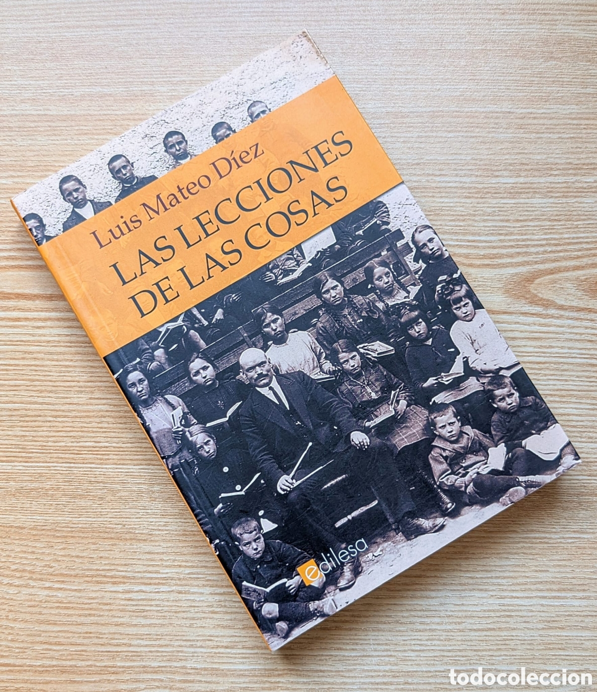 Libros de segunda mano: Las lecciones de las cosas - Luis Mateo Diez - Edilesa - Foto 1