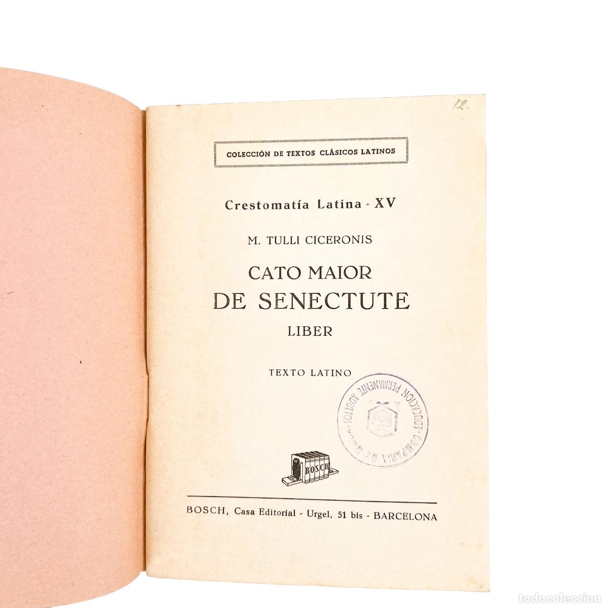 Libros de segunda mano: Cato Maior de Senectute, Latin, M. Tulli Ciceronis - Foto 3