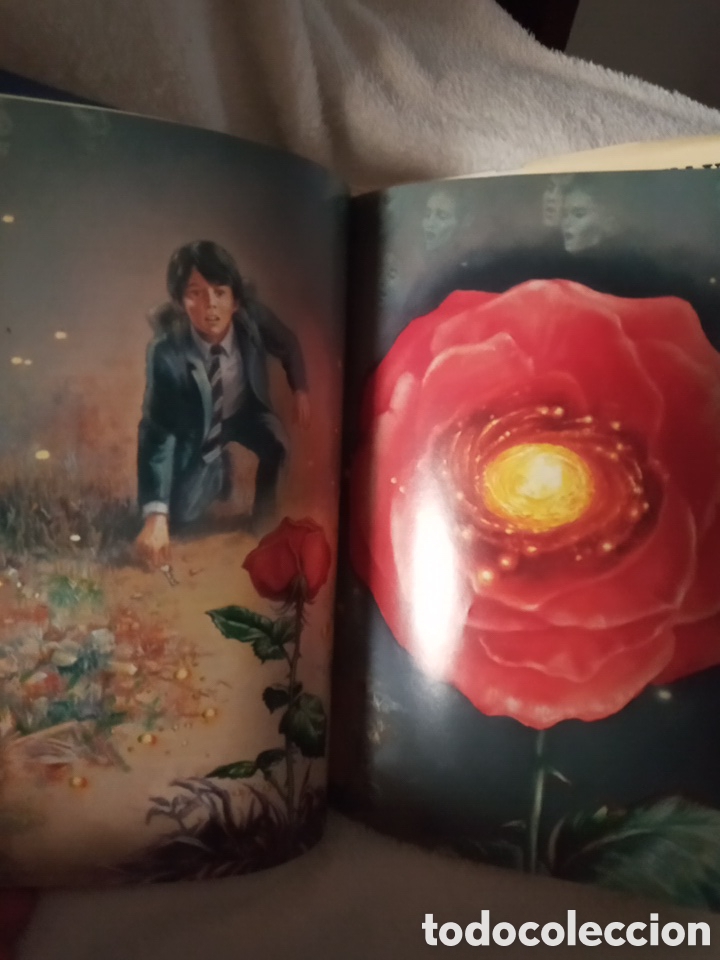 Libros de segunda mano: STEPHEN KING. LA TORRE OSCURA/3 LAS TIERRAS BALDIAS - Foto 4