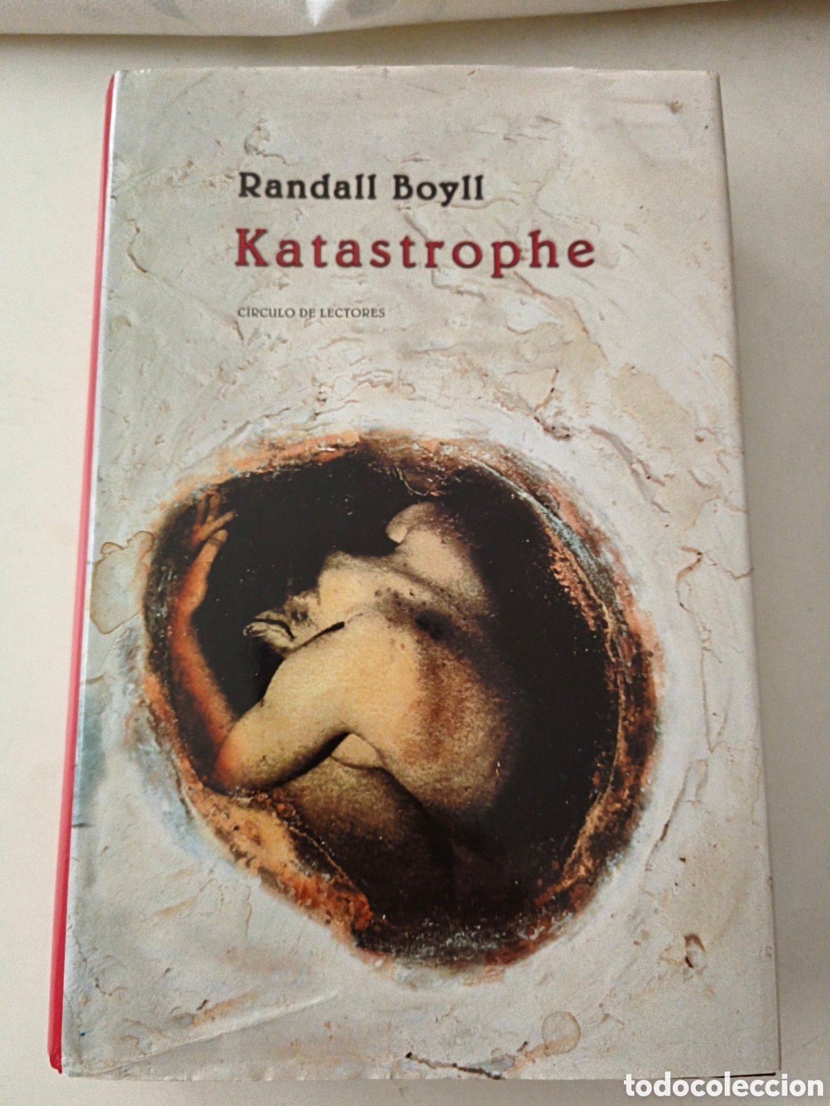 Libros de segunda mano: Katastrophe. Randall Boyll. - Foto 1