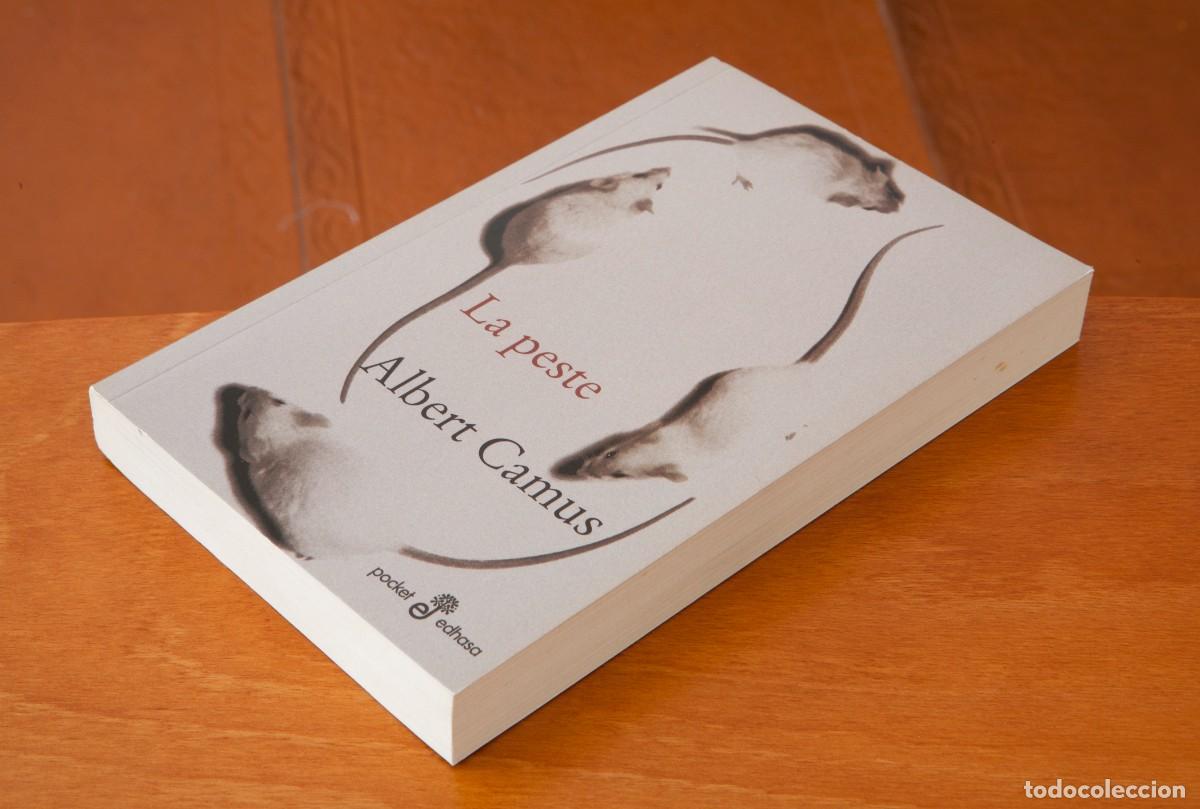 Libros de segunda mano: La peste Albert Camus Edhasa - Foto 4