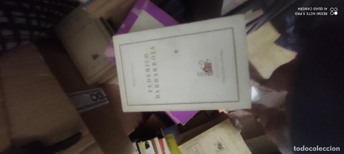 Libros de segunda mano: Federico Barbarroja. Austral