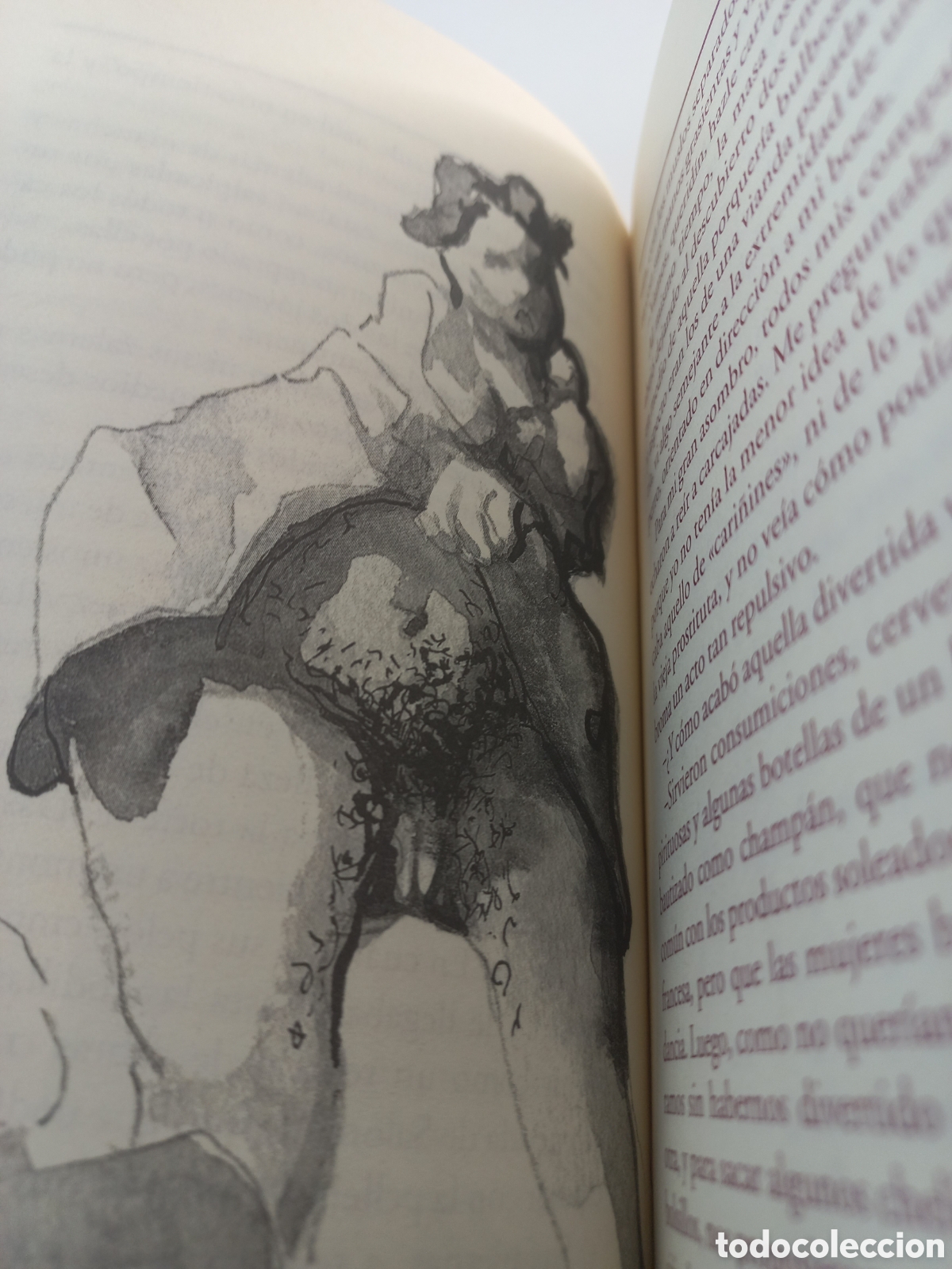 Libros de segunda mano: Teleny. Oscar Wilde. VALDEMAR, 1999. Ilustrado. - Foto 7