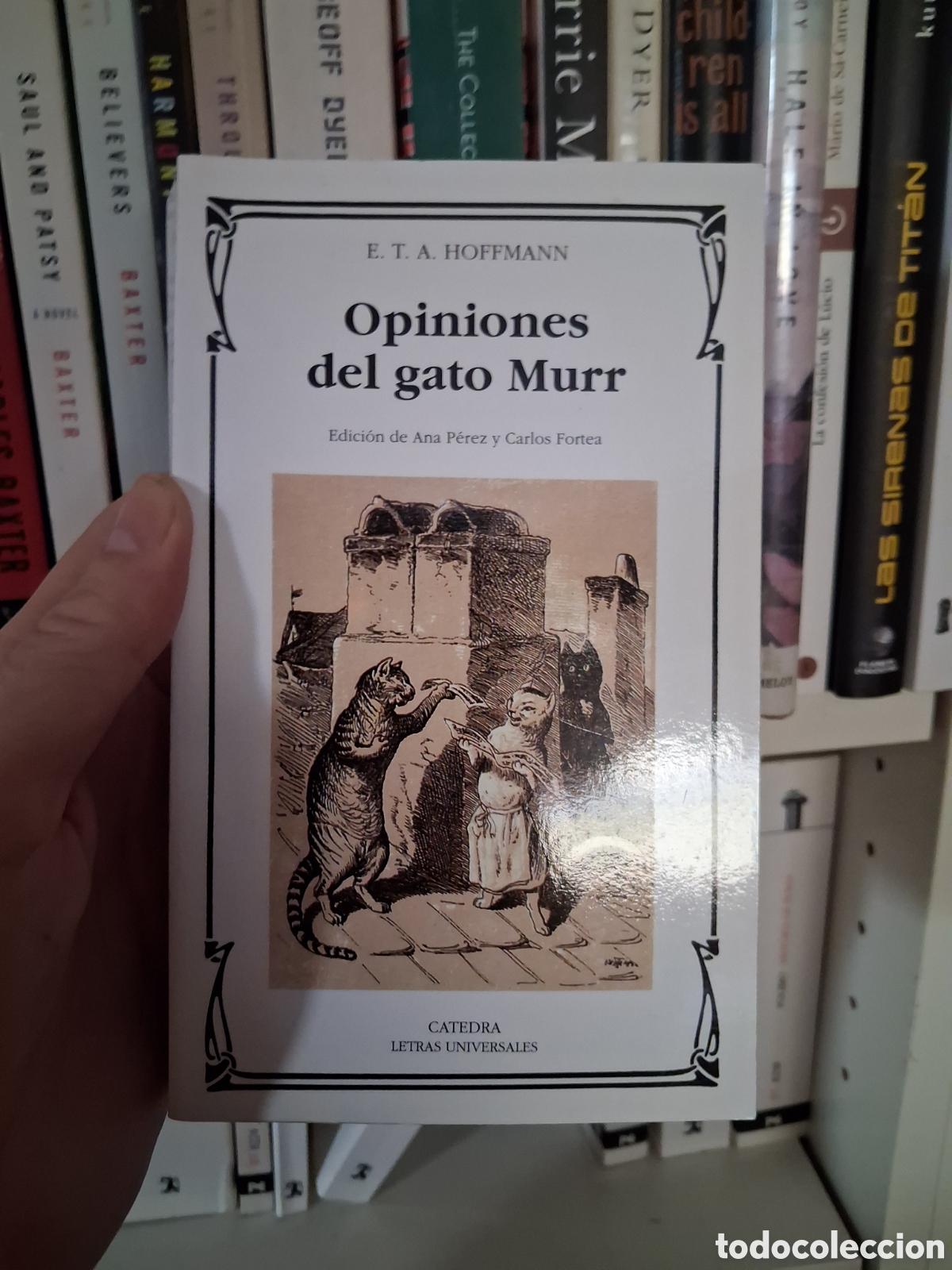 Libros de segunda mano: Opiniones del gato Murr, E T. A. Hoffmann