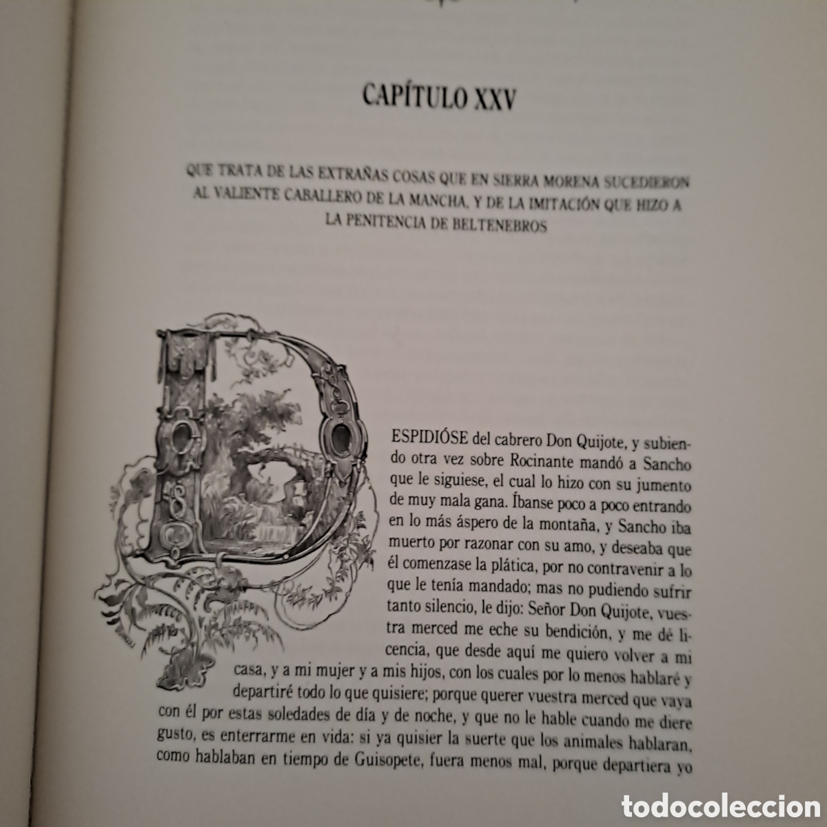 Libros de segunda mano: DON QUIJOTE, EDICION RECOPILADA DE TOMAS GORCHS DE 1859 . EN DOS TOMOS. - Foto 7