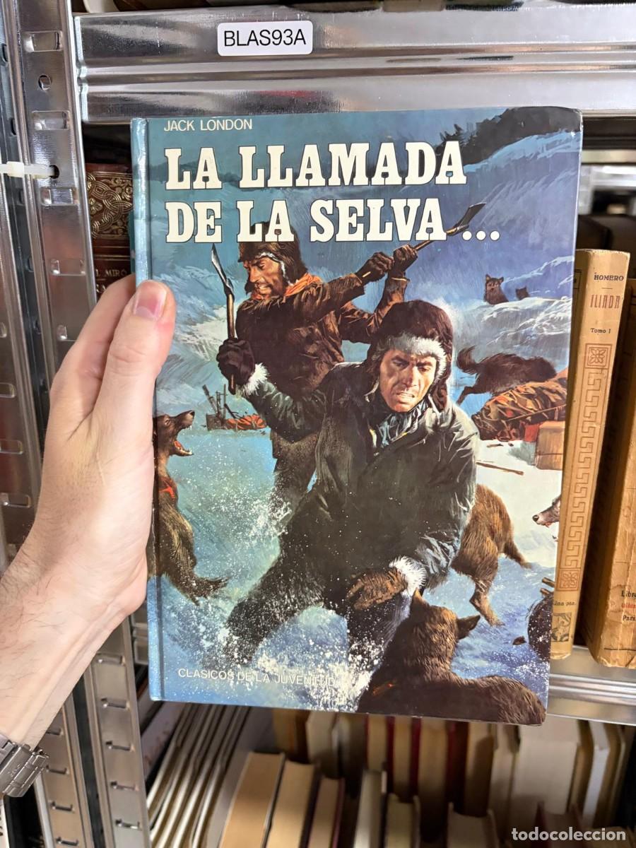 Libros de segunda mano: BLAS93A &ndash; La llamada de la selva... &mdash; Jack London &mdash; Cl&aacute;sicos de la Juventud.