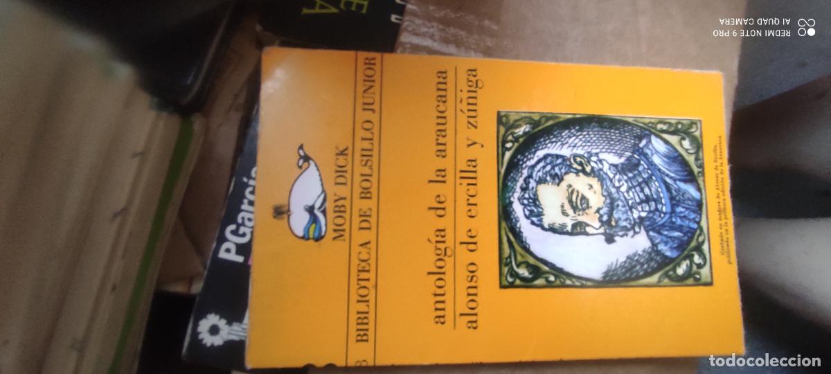 Libros de segunda mano: Antolog&iacute;a de la Araucana / Alonso de Ercilla y Z&uacute;&ntilde;iga (Moby Dick : biblioteca de bolsillo junior ; 1