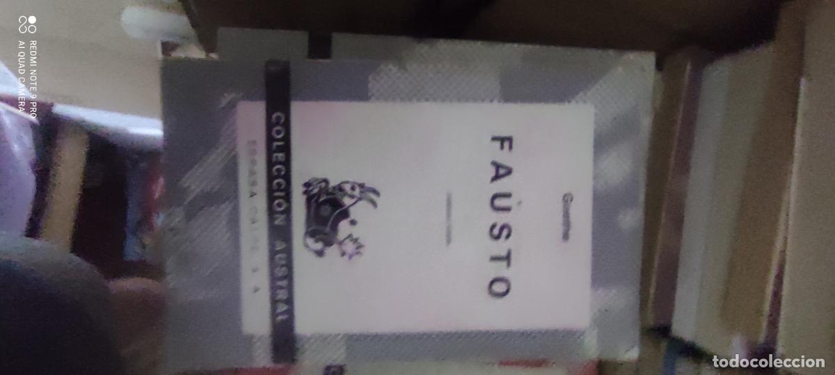 Libros de segunda mano: Goethe. Fausto. Austral
