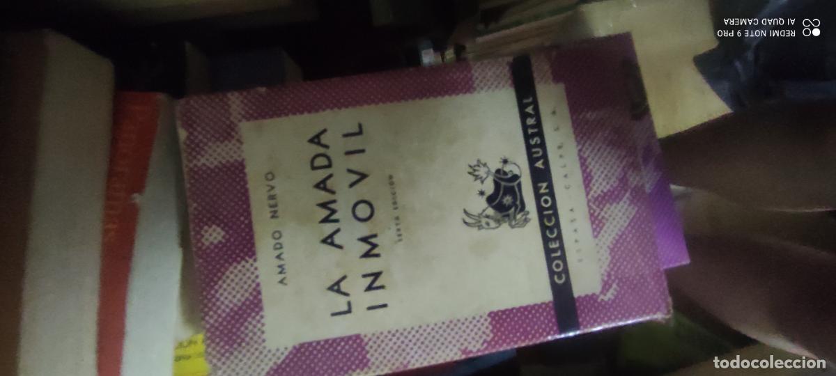 Libros de segunda mano: Nervo. la amada inm&oacute;vil. Austral