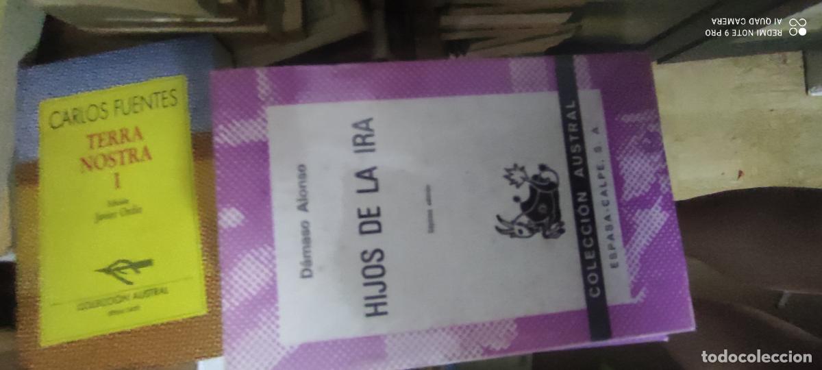 Libros de segunda mano: Damaso Alonso. HIjos de la Ira. Austral. - Foto 1