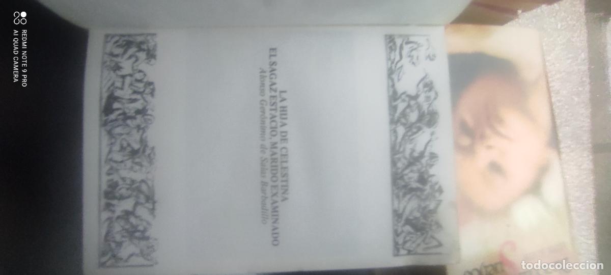 Libros de segunda mano: LA NOVELA PICARESCA ESPA&Ntilde;OLA: La hija de Celestina. El sagaz Estacio, marido examinado
