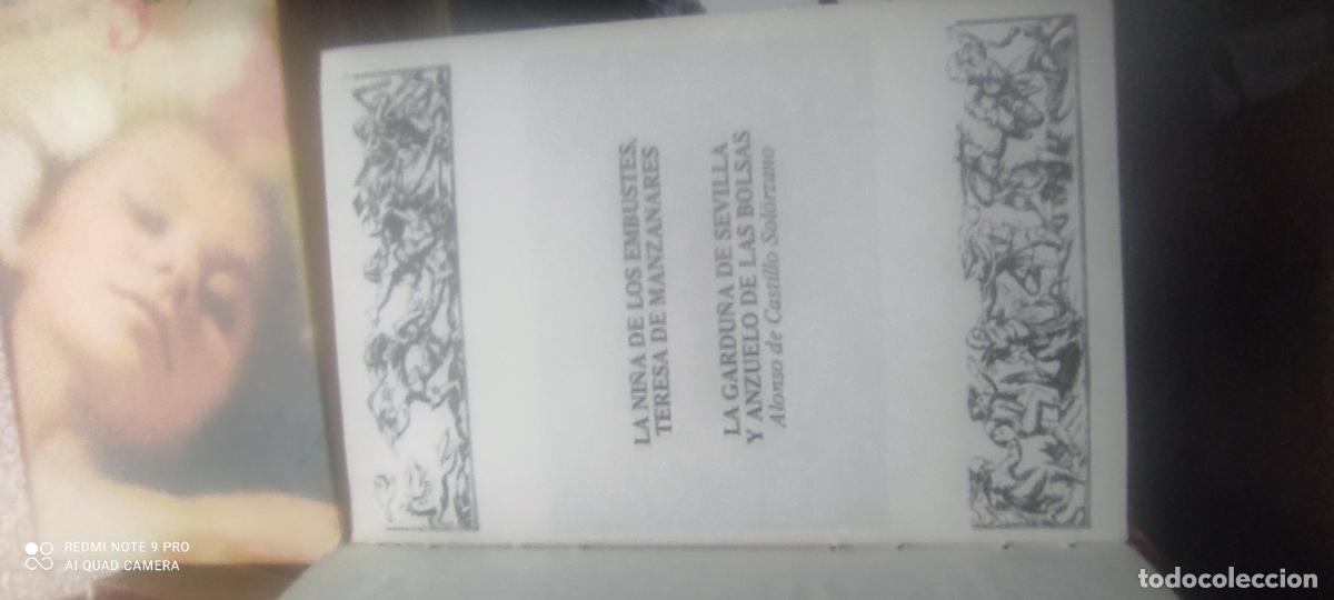 Libros de segunda mano: LA NOVELA PICARESCA ESPA&Ntilde;OLA: La ni&ntilde;a de los embustes: Teresa de Manzanares/ La Gardu&ntilde;a de Sevilla