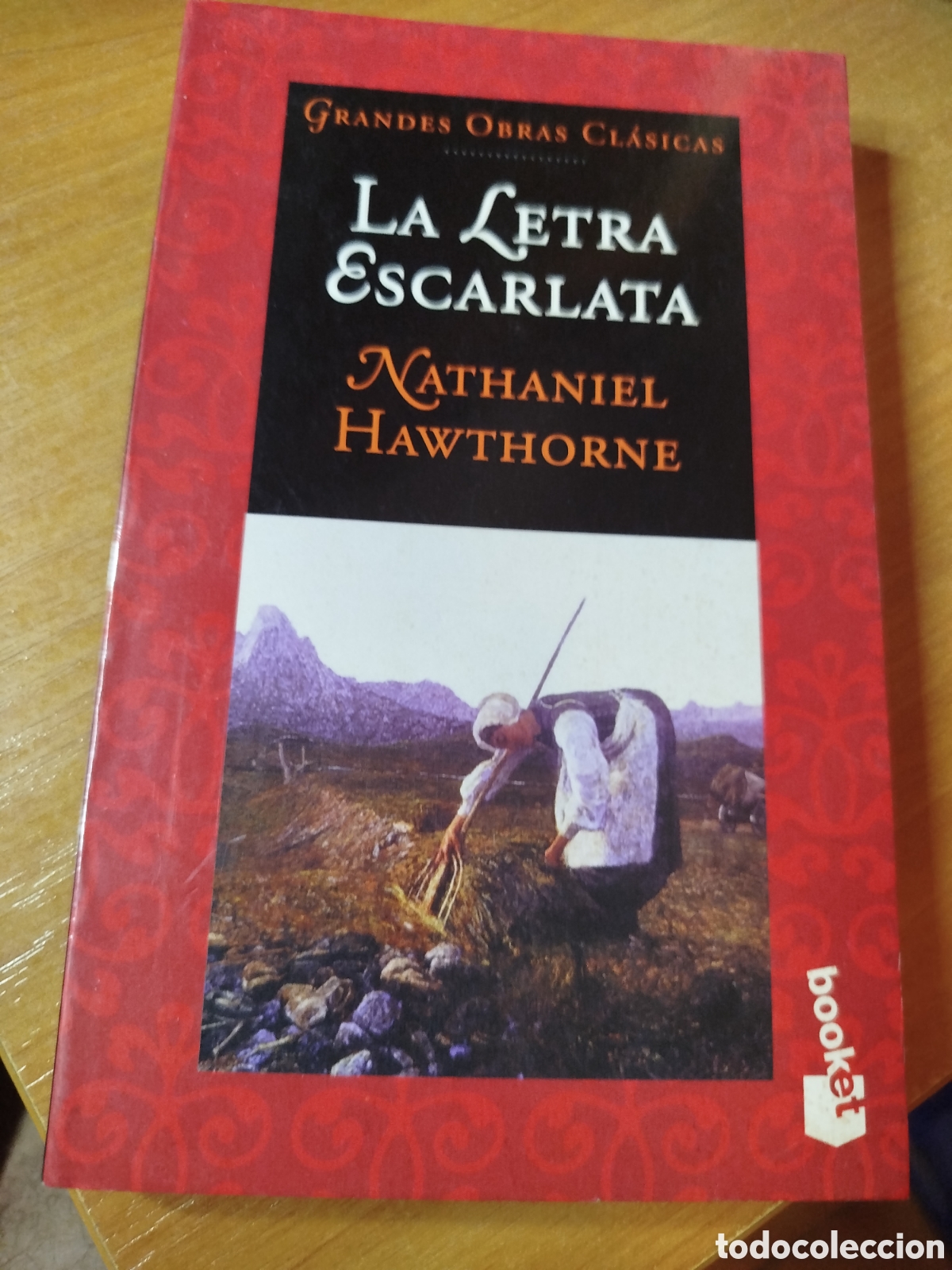 Libros de segunda mano: La letra escarlata. Nathaniel hawthorne. Grandes obras cl&aacute;sicas