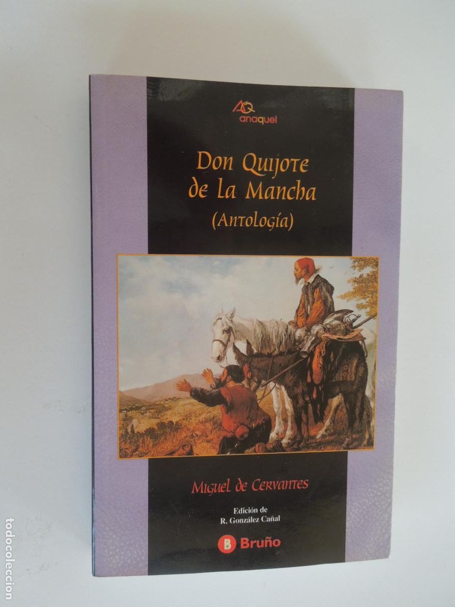 Libros de segunda mano: DON QUIJOTE DE LA MANCHA - MIGUEL DE CERVANTES - ANTOLOGIA - BRU&Ntilde;O -1999