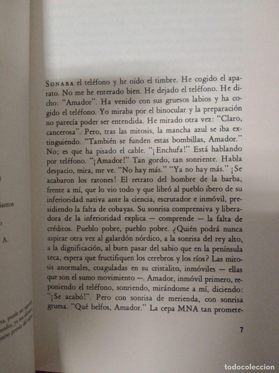 Libros de segunda mano: TIEMPO DE SILENCIO LUIS MART&Iacute;N SANTOS - Foto 7