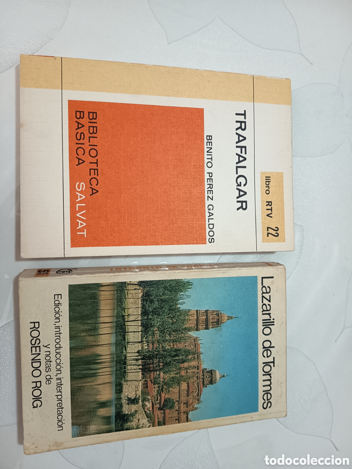 Libros de segunda mano: Lote 2 libros cl&aacute;sicos: Lazarillo de Tormes y Trafalgar (Benito P&eacute;rez Gald&oacute;s) &ndash; Salvat / RTV