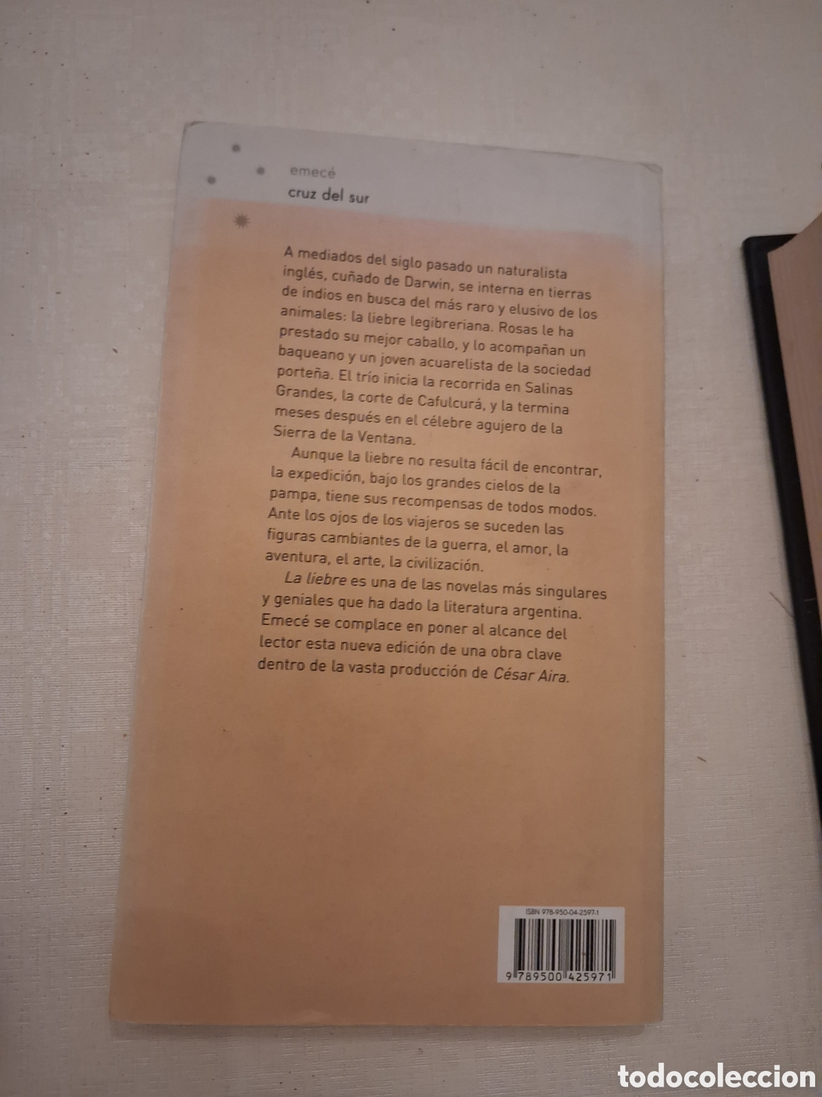 Libros de segunda mano: La liebre, C&eacute;sar Aira - Foto 2