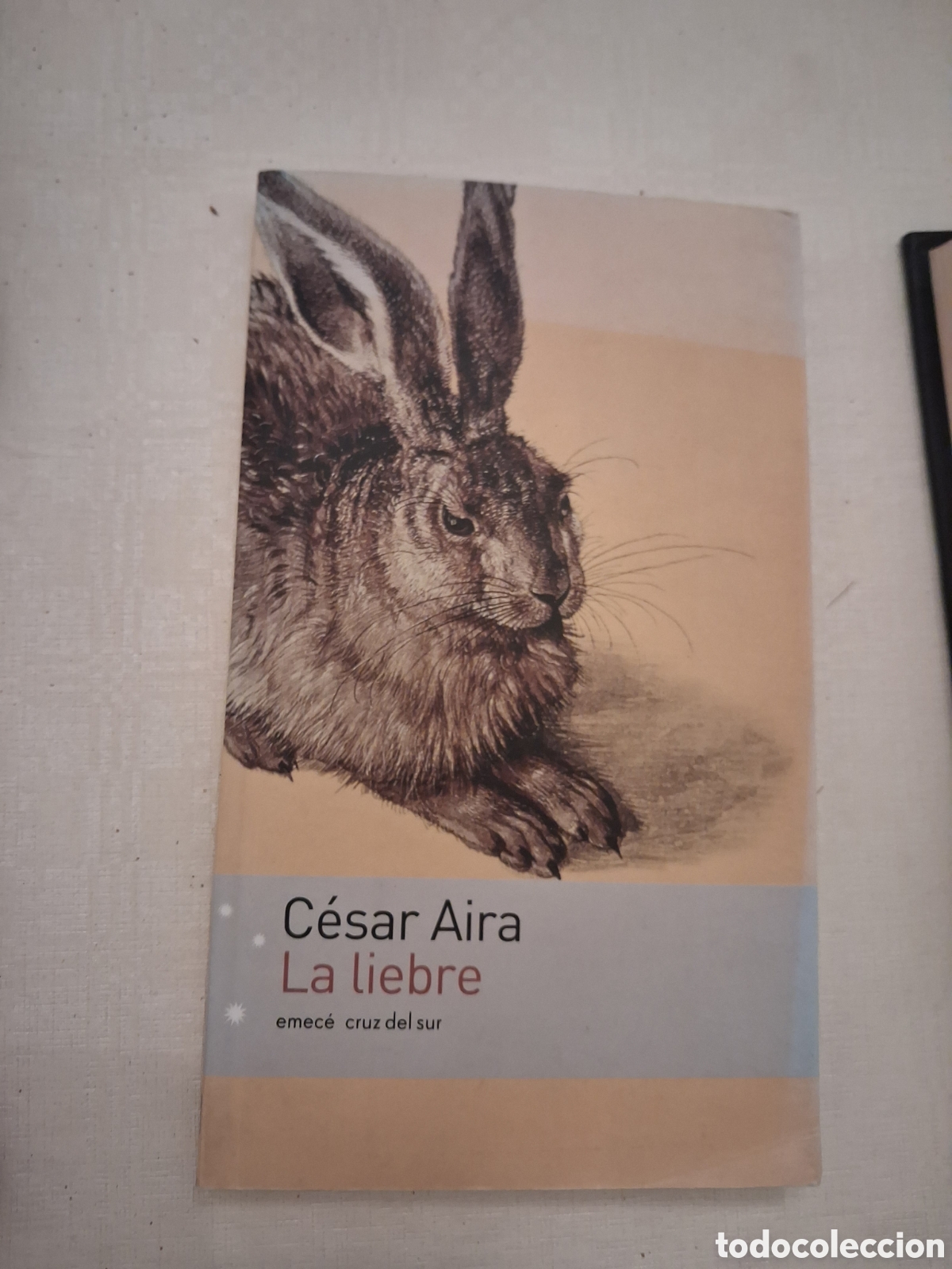 Libros de segunda mano: La liebre, C&eacute;sar Aira