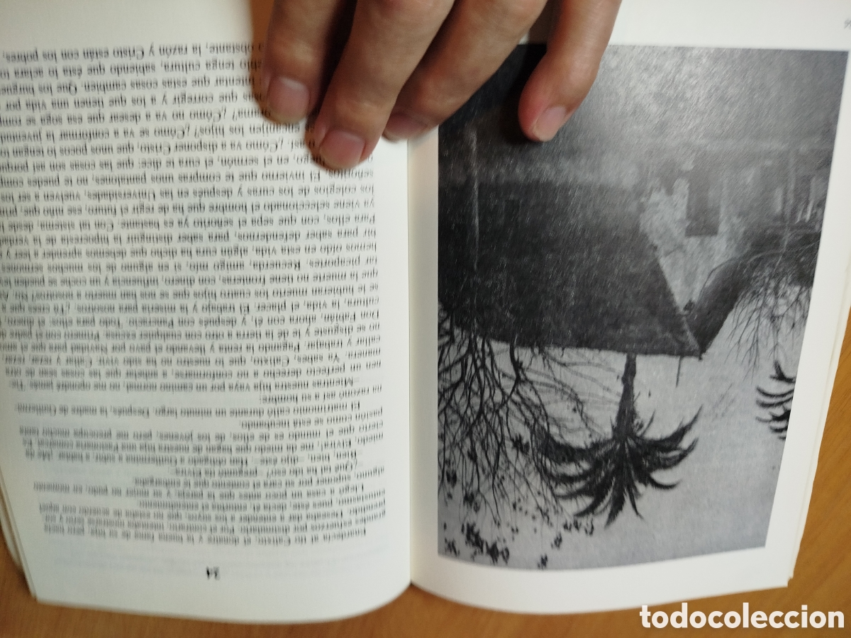 Libros de segunda mano: Guillermina. Jos&eacute; Molina L&oacute;pez. - Foto 2