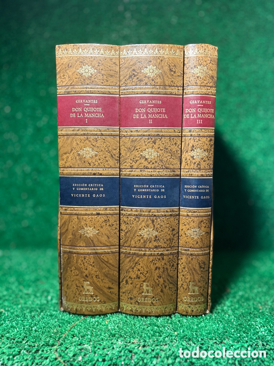 Libros de segunda mano: DON QUIJOTE DE LA MANCHA - VICENTE GAOS - A5