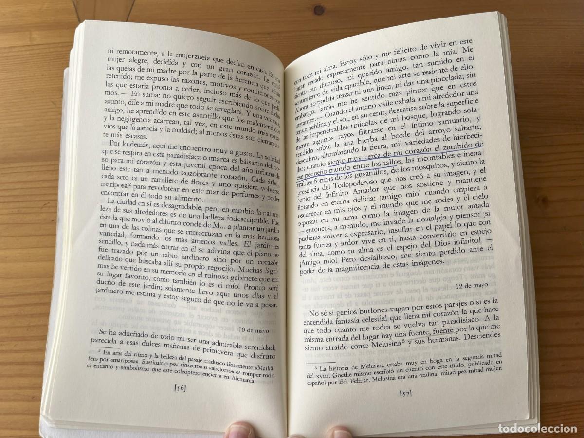 Libros de segunda mano: Las desventuras del joven Werther - Foto 7