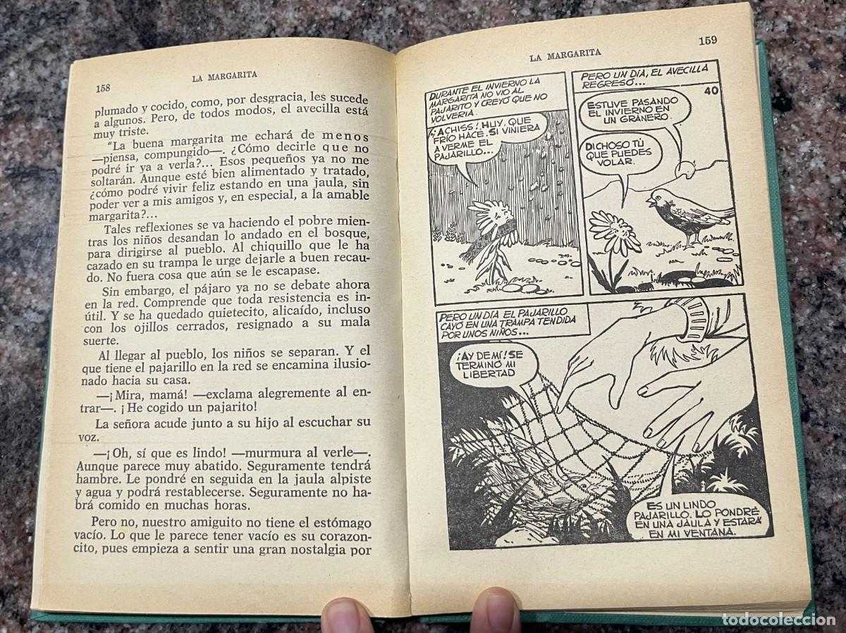 Libros de segunda mano: El Soldadito de Plomo - Bruguera 1972 - Foto 7