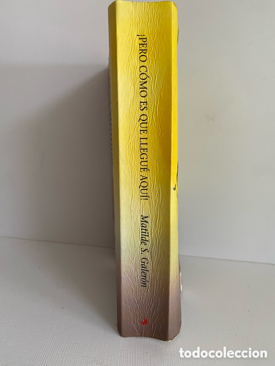 Libros de segunda mano: &iexcl;Pero c&oacute;mo es que llegu&eacute; aqu&iacute;! // Matilde S. Galer&oacute;n - C&iacute;rculo Rojo - Foto 2