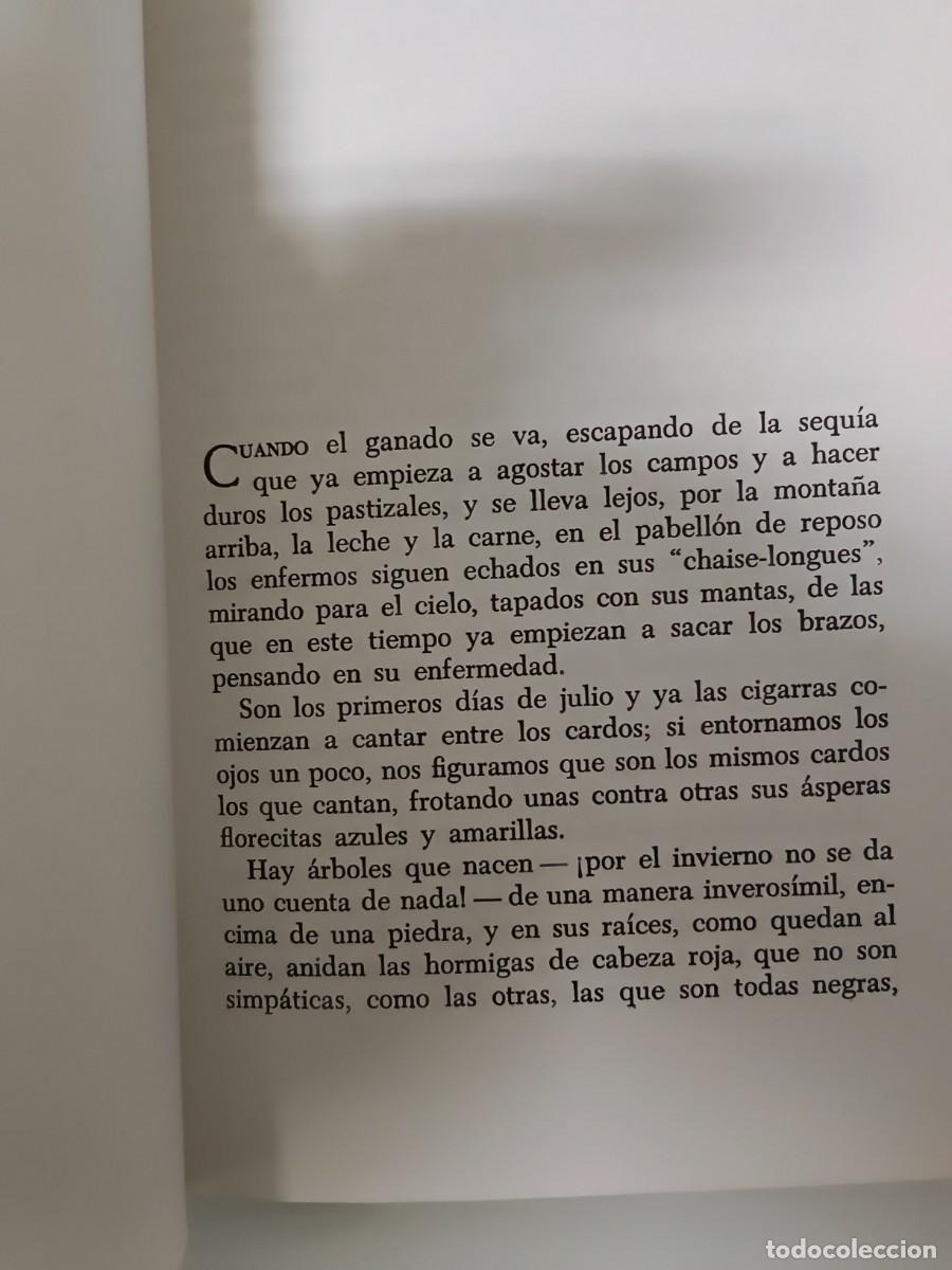 Libros de segunda mano: PABELL&Oacute;N DE REPOSO. CAMILO JOS&Eacute; CELA - Foto 7