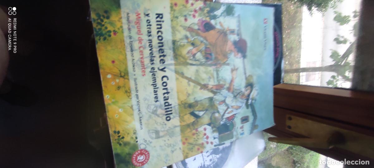 Libros de segunda mano: Rinconete y Cortadillo