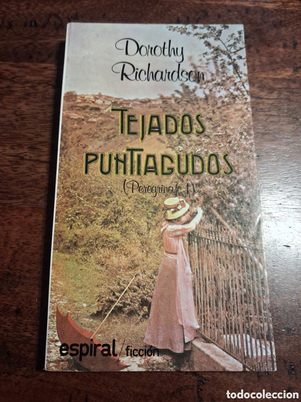 Libros de segunda mano: Tejados puntiagudos, Dorothy Richardson