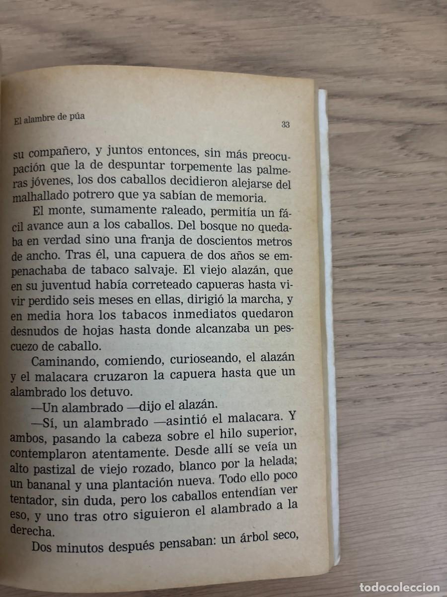 Libros de segunda mano: El potro salvaje - Horacio Quiroga - tapa blanda - Foto 3