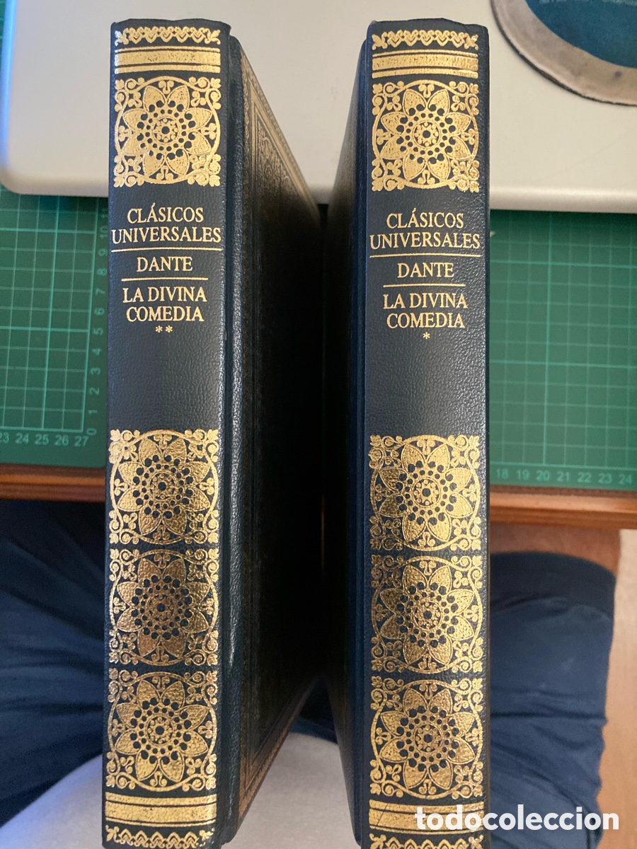 Libros de segunda mano: La Divina comedia. Dante. Dos tomos