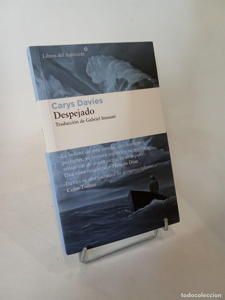 Libros de segunda mano: Carys Davies. Despejado