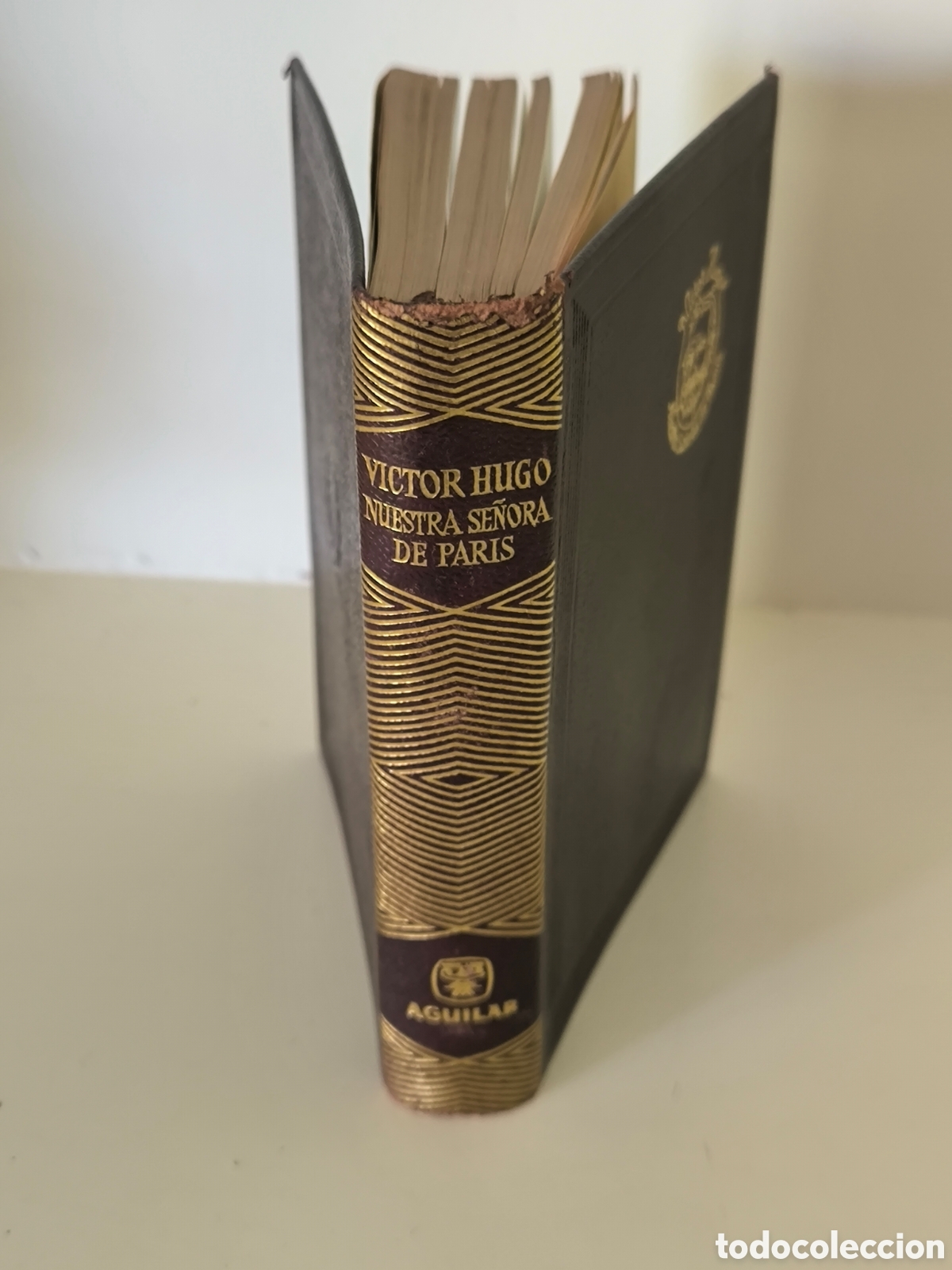Libri di seconda mano: V&iacute;ctor Hugo nuestra se&ntilde;ora de Par&iacute;s Joya Aguilar primera edici&oacute;n 1963