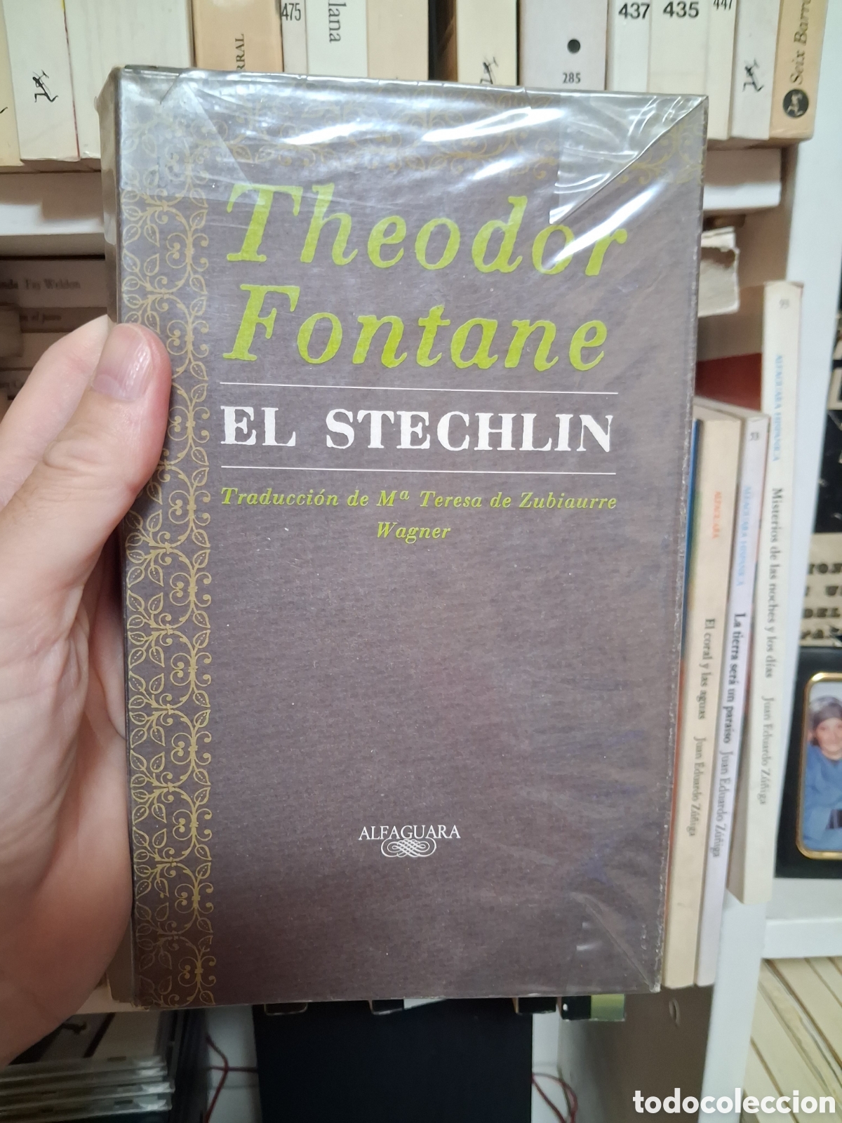 Libros de segunda mano: El Stechlin, Theodor Fontane