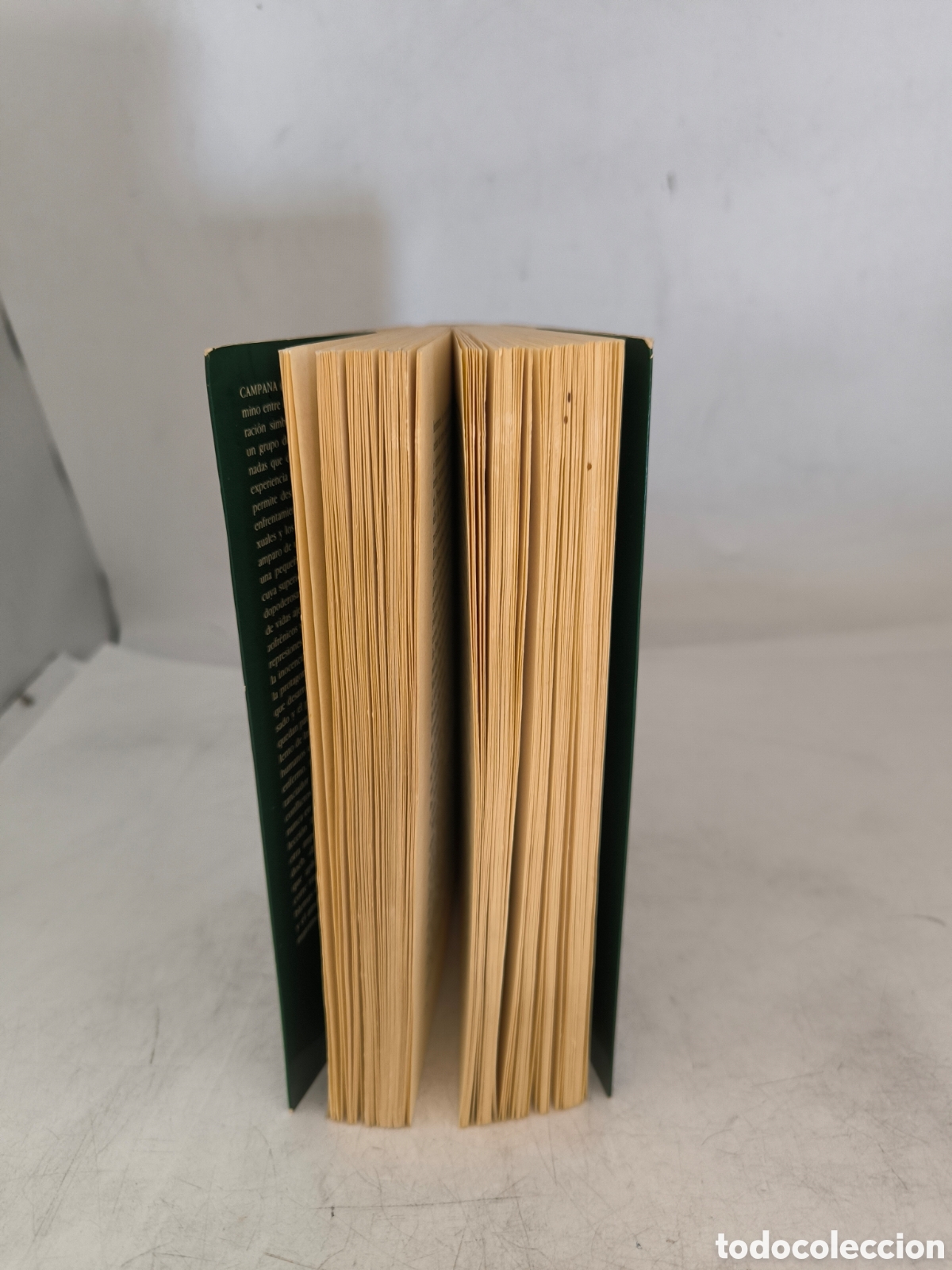 Libros de segunda mano: La campana. Iris Murdoch . Primera edici&oacute;n - Foto 3